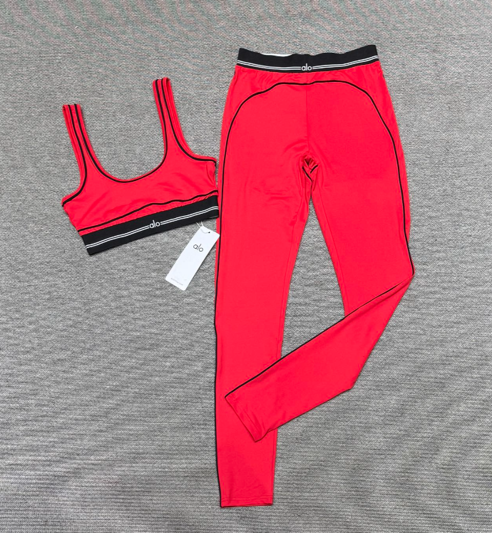 Alo Bra and leggings set