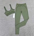 Alo Bra and leggings set